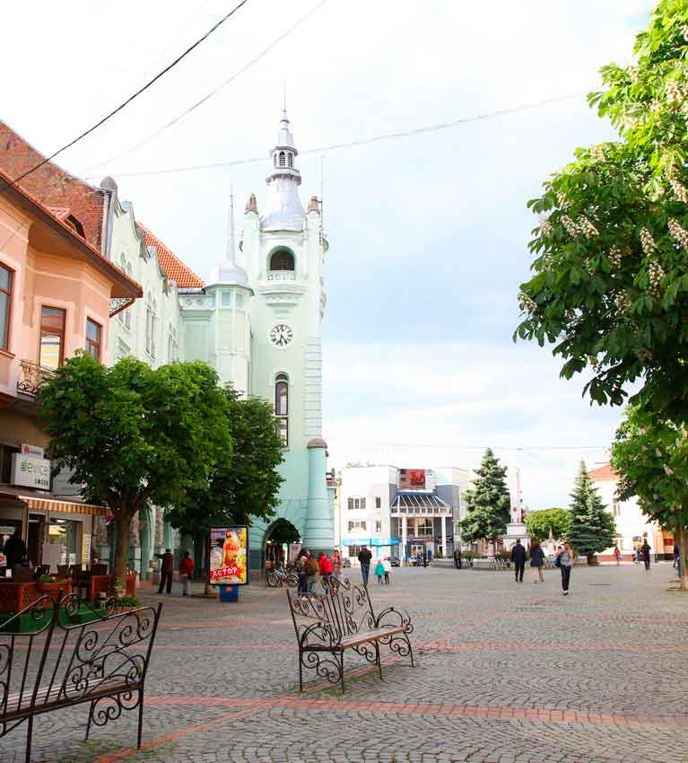 Закарпатский чайный эксперимент отметил 70-летие